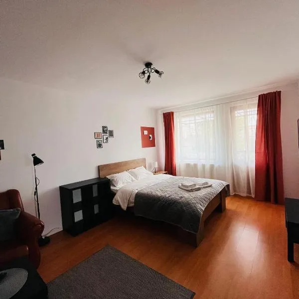 Flower Inn - apartament 3，位于Cîmpeneşti的酒店