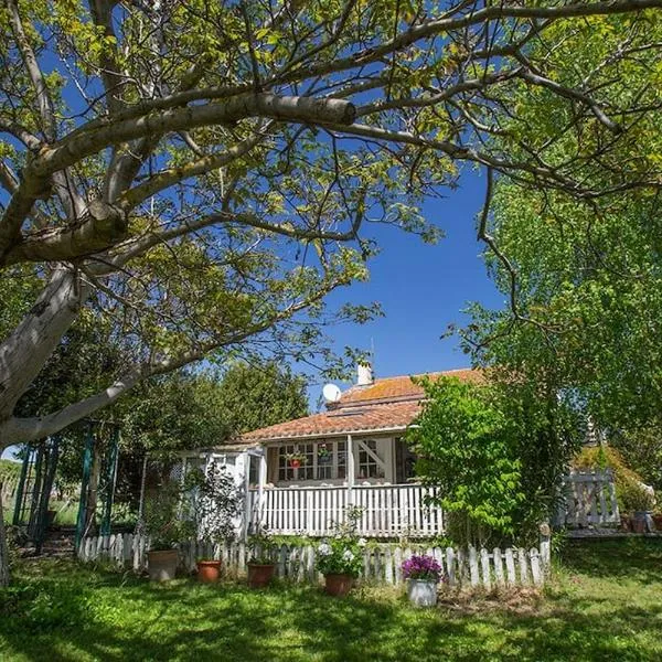 Original and quiet house near ARLES, Camargue，位于富尔克的酒店