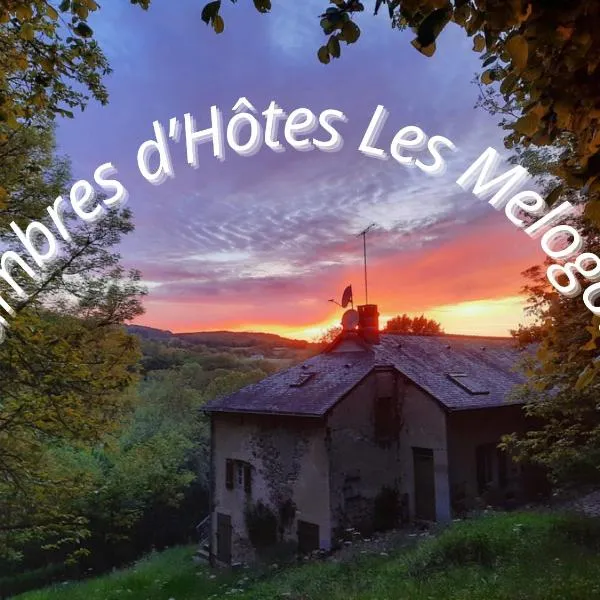 Chambres d’Hôtes Les Melogottes，位于Villapourçon的酒店