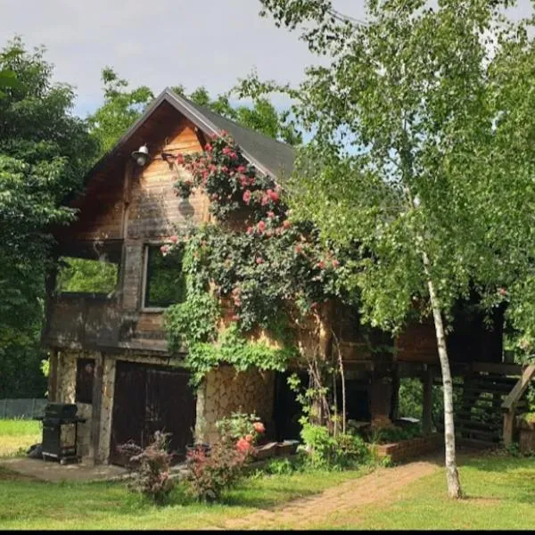 Log cabin，位于Mala Ivanča的酒店