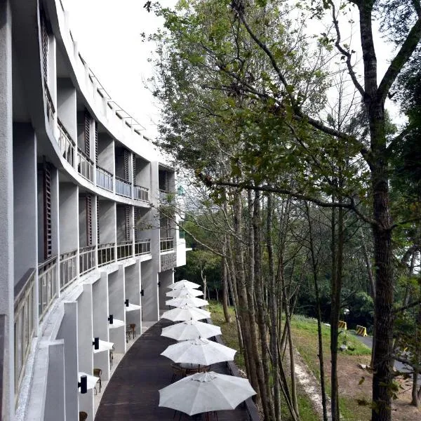 日月潭竹石园生态渡假会馆，位于阿里梅的酒店