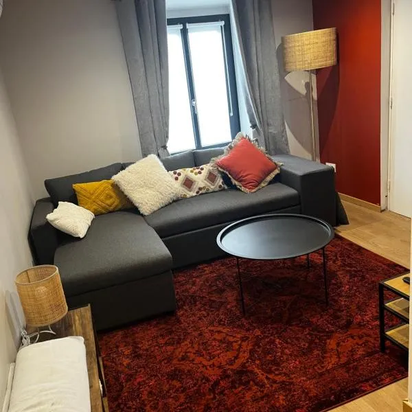 Agréable Appartement Centre B，位于布尔日的酒店