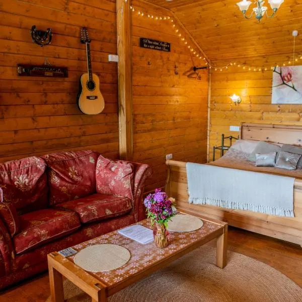 Blossom Cabin - Little log Cabin in Wales，位于纽敦的酒店