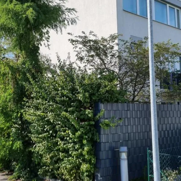 Haus Blindenmarkt，位于阿姆施泰滕的酒店