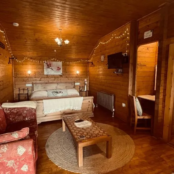 Blossom Cabin - Little log Cabin in Wales，位于Llanfair Caereinion的酒店
