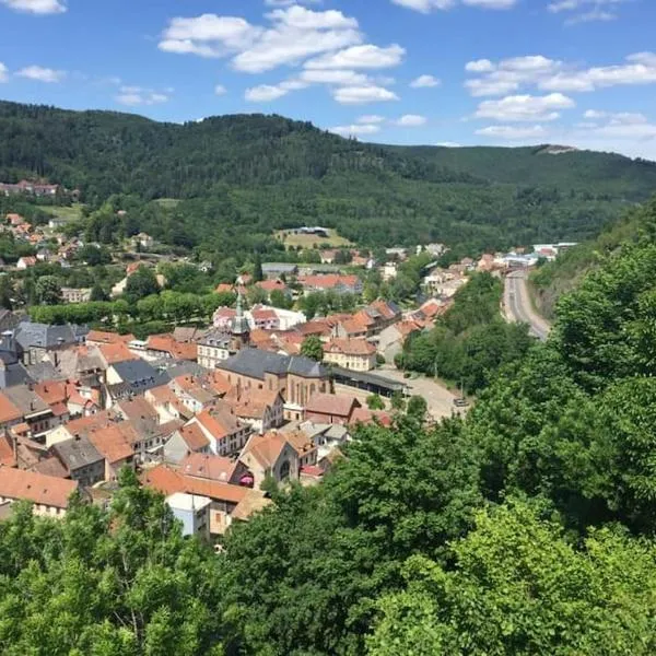 Schirmeck centre appartement au pied du château，位于Plaine的酒店