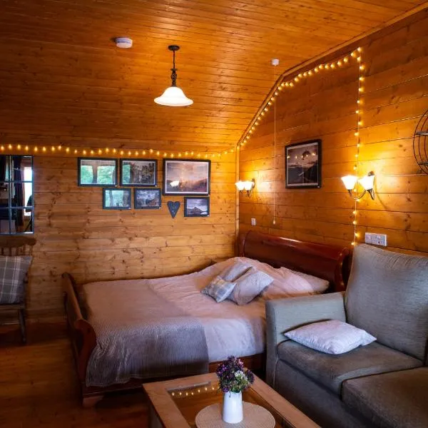 Cherry Cabin - Little Log Cabin in Wales，位于Llanfair Caereinion的酒店