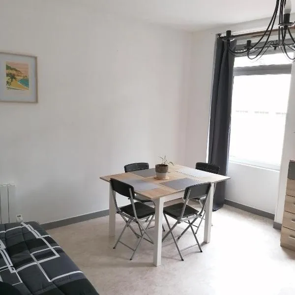 Appartement-Vierzon-centre，位于维耶尔宗的酒店