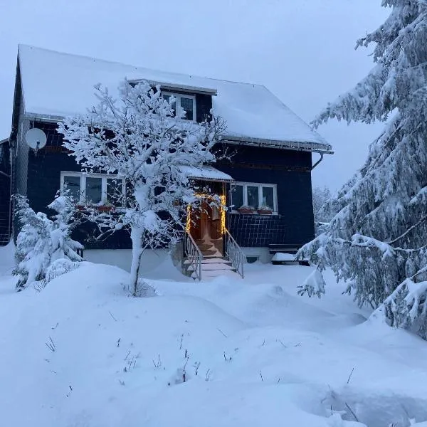Ferienhaus Rennsteigblick，位于Eisfeld的酒店