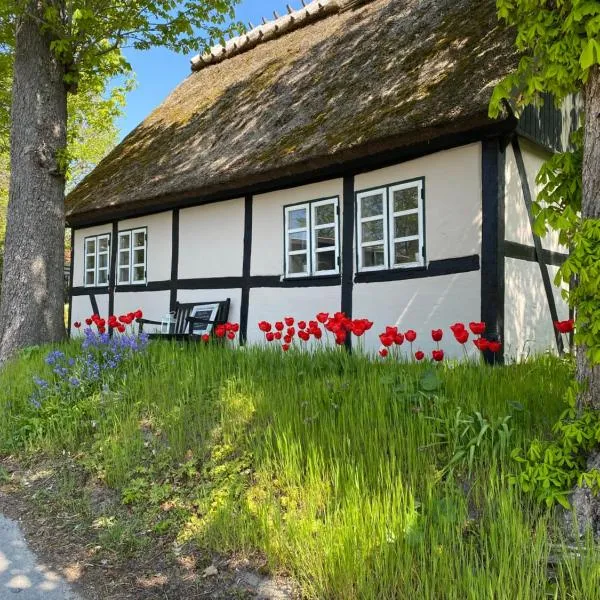 Sofie's Hus - Munkgaard Bed & Breakfast，位于Hårlev的酒店