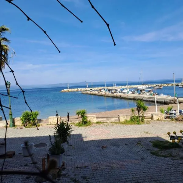 Sea View Apartment，位于诺亚福克的酒店