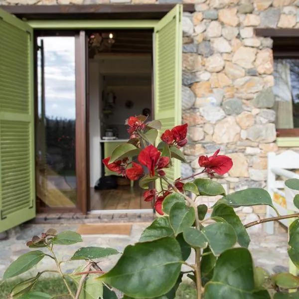 Country House Spitaki Γραφείο，位于维利卡的酒店