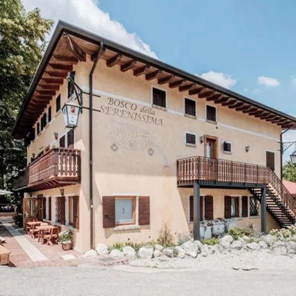 Locanda Al Cacciatore，位于Santa Lucia di Piave的酒店