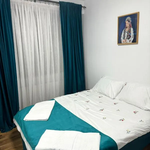 Apartament Central, Năsăud，位于Năsăud的酒店