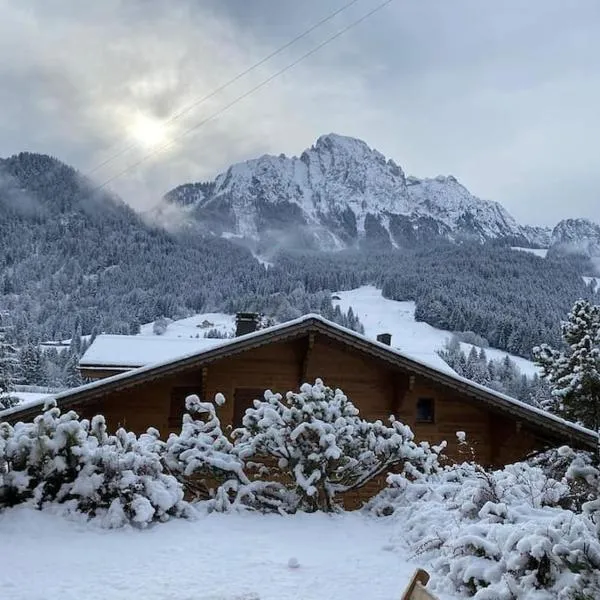 Apartment in the best location of Rougemont,Gstaad,位于Rougemont的酒店