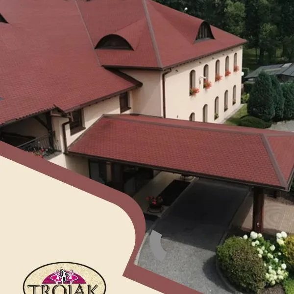 Trojak，位于Lędziny的酒店
