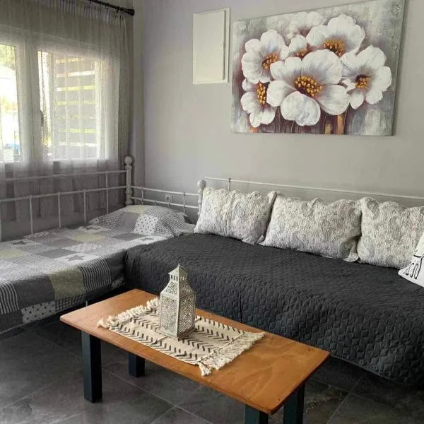 Flisvos loft by the sea，位于斯卡拉福卡斯的酒店