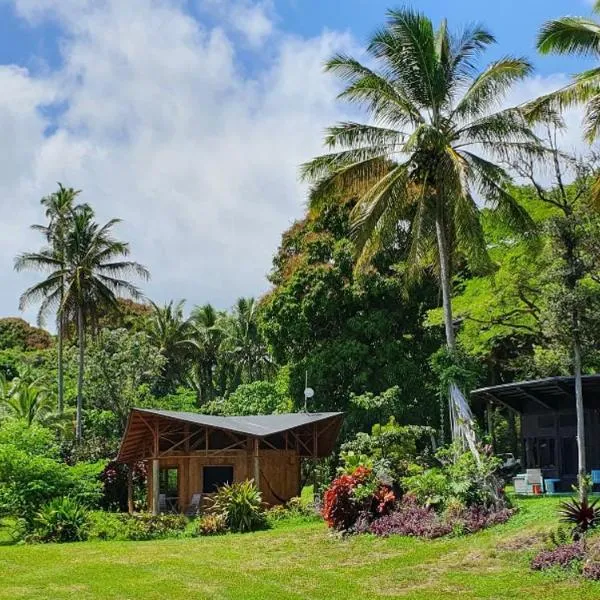 Kalani Oceanside Retreat，位于Kalapana的酒店