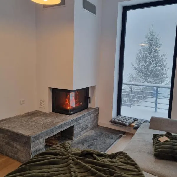 Doftana Lake House，位于Teşila的酒店