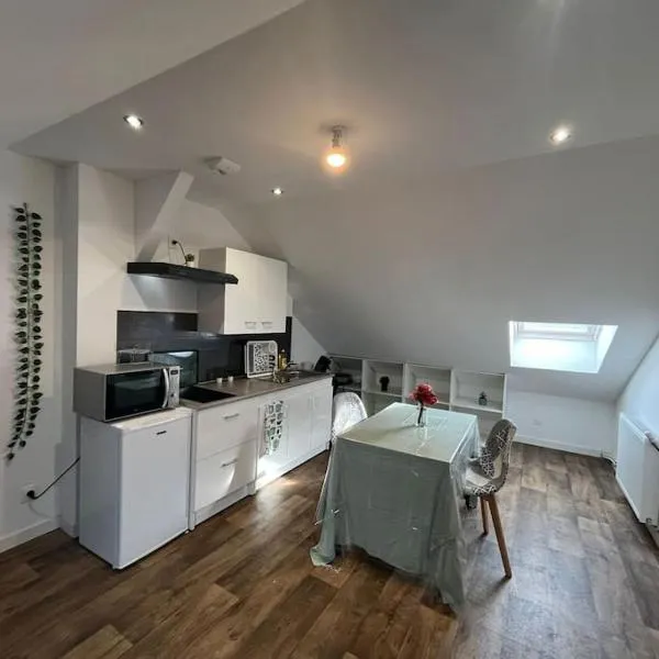 Le garden cottage 20m² 2 personnes，位于Flers-lez-Lille的酒店