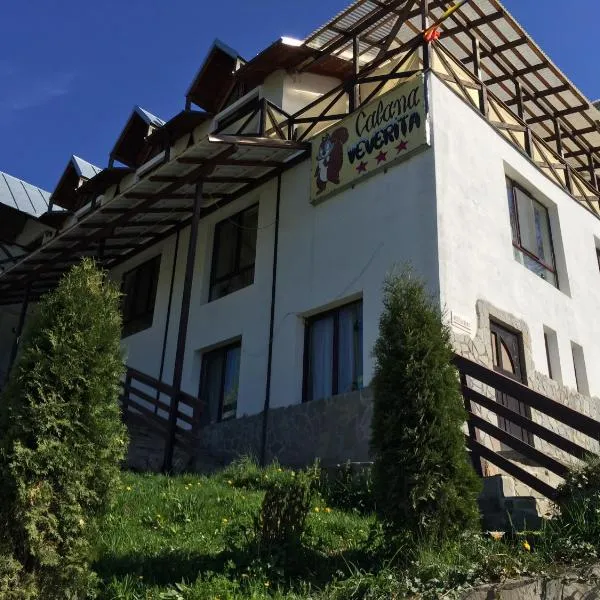 Pensiunea Cabana Veverita Valea Doftanei，位于Trăisteni的酒店