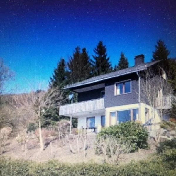 Chalet BERGglück Willingen - Nähe Skilifte，位于维林根的酒店