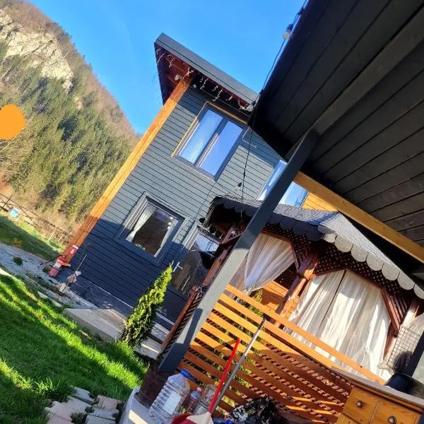 Casa Transylvania cu hot tub inclus，位于Lupşa的酒店