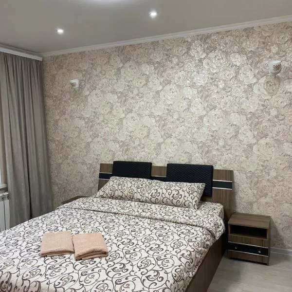 Apartament Chisinau str.Cuza Voda，位于基希讷乌的酒店