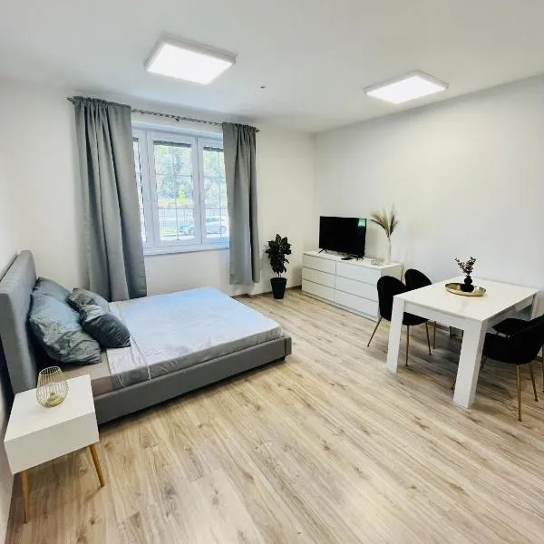 Apartment Riviéra Centrum, private parking and smart check in，位于班斯卡-比斯特里察的酒店