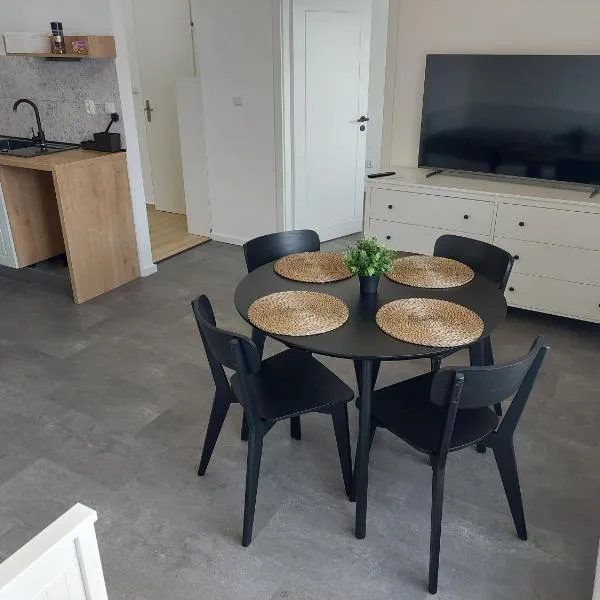 Apartmán Krásná Lípa，位于Rybniště的酒店