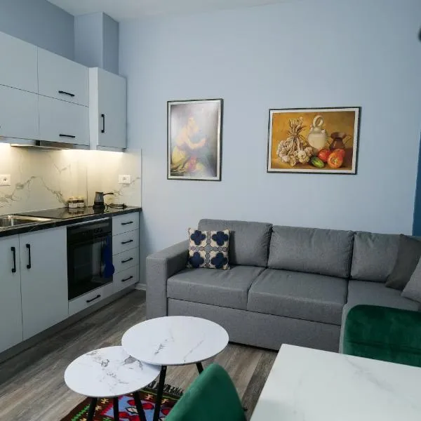 Travelers' Korça Home，位于戈里察的酒店