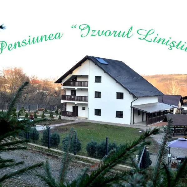 Pensiunea Izvorul Liniștii，位于Rădăşeni的酒店