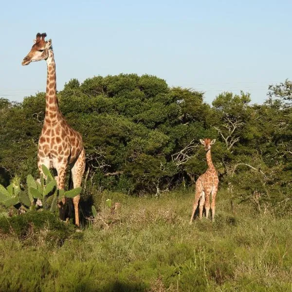 The Ranch House at African Safari Lodge，位于格拉罕镇的酒店