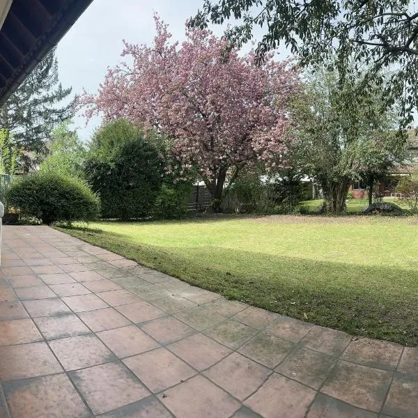 Apartment Lutherbaum，位于沃尔姆斯的酒店