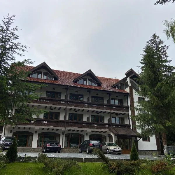 Chalet Wiese，位于波亚纳布拉索夫的酒店
