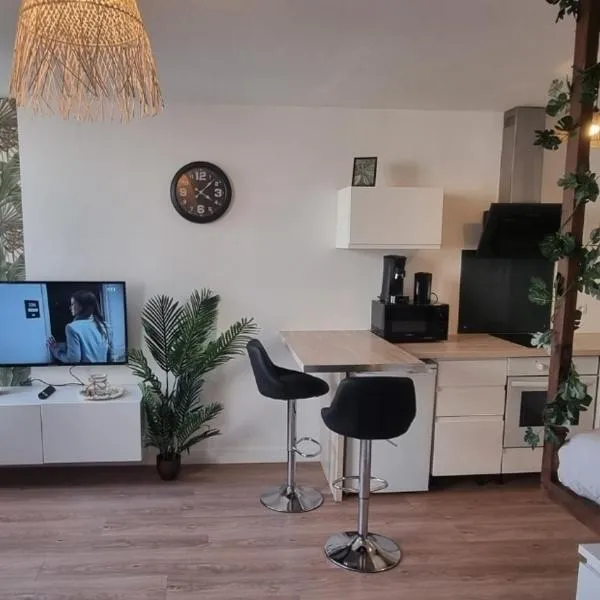 New jungle studio cœur de ville，位于Blénod-lès-Pont-à-Mousson的酒店