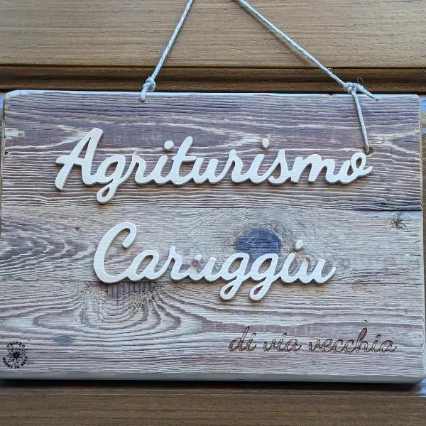 Agriturismo Caruggiu di via vecchia，位于奥尔科费利诺的酒店