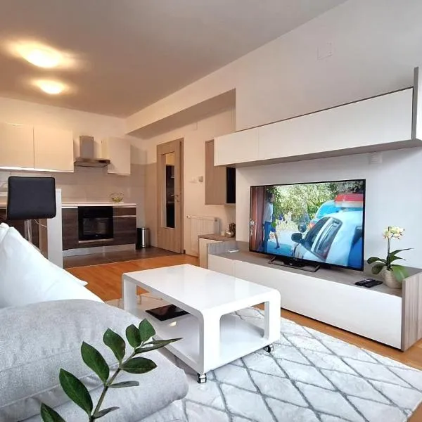 Apartman Lucille，位于奥西耶克的酒店