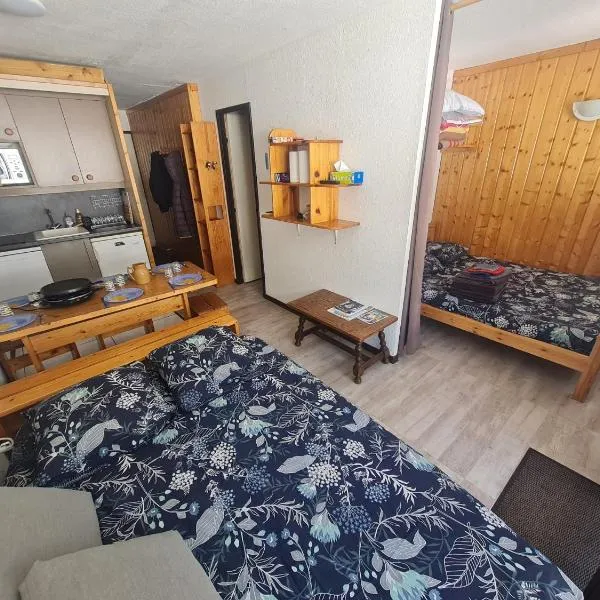 Appartment val thorens 6 personnes ski in out，位于葱仁谷的酒店