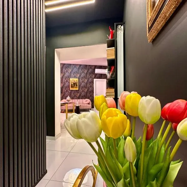 Elegance Rooms Spaccanapoli，位于那不勒斯的酒店