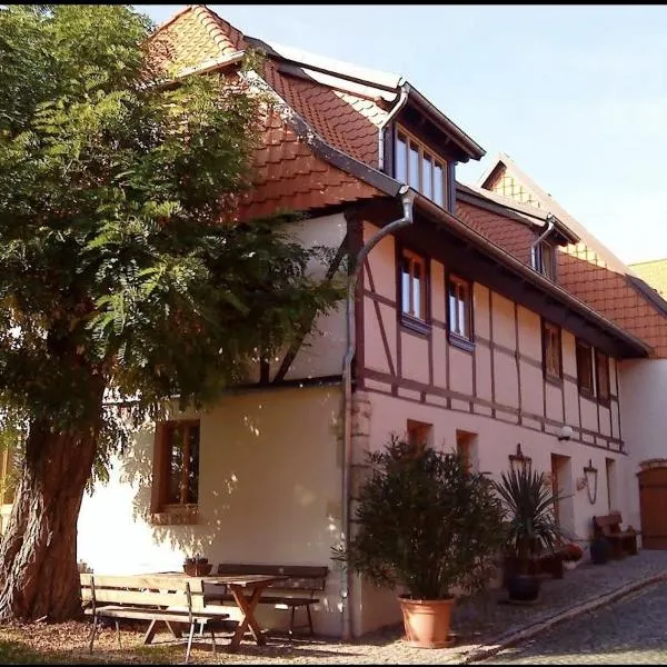 Pension Robinienhof，位于Hedersleben的酒店