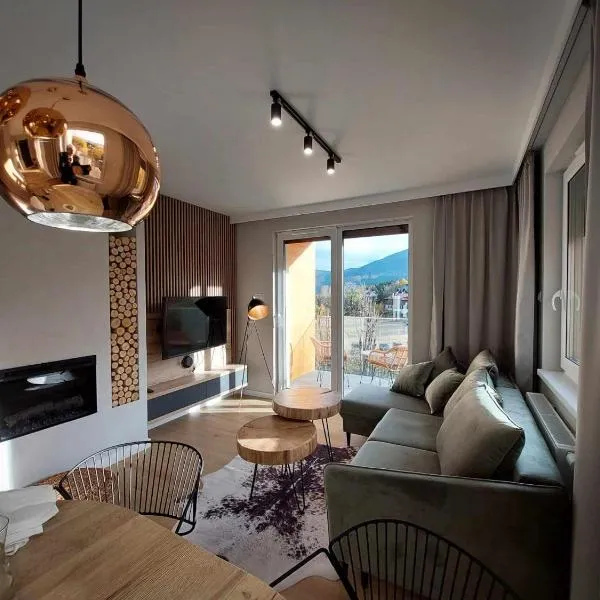 RJ Apartament widok na Śnieżkę，位于卡尔帕奇的酒店