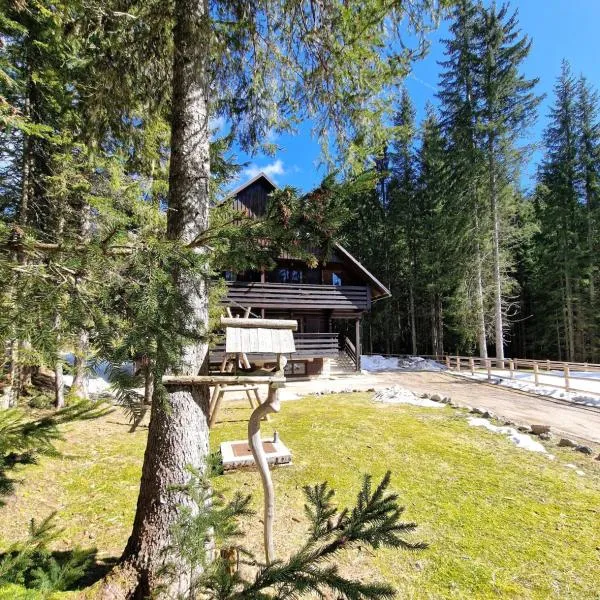 Forest Apartments Pokljuka，位于佐尔尼耶戈迪的酒店