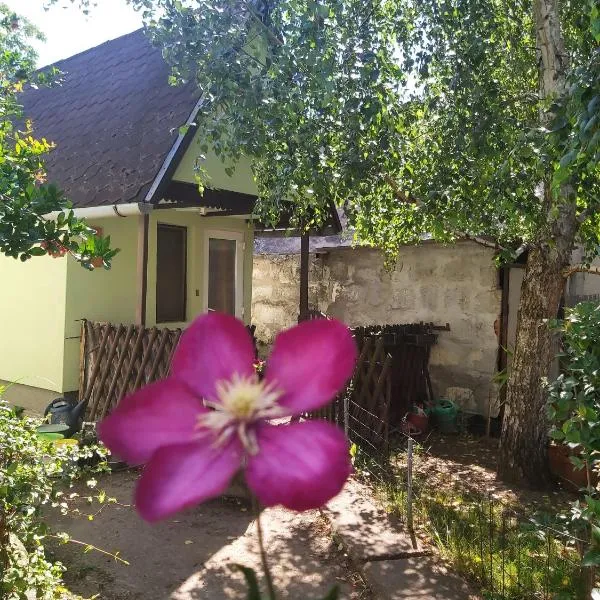 Life water small house，位于布达佩斯的酒店
