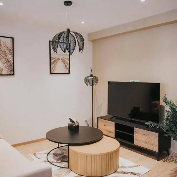 Splendide appartement Cosy，位于布里尤德的酒店