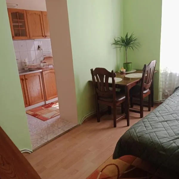 Apartament koło Dworcu，位于Przemyśl的酒店