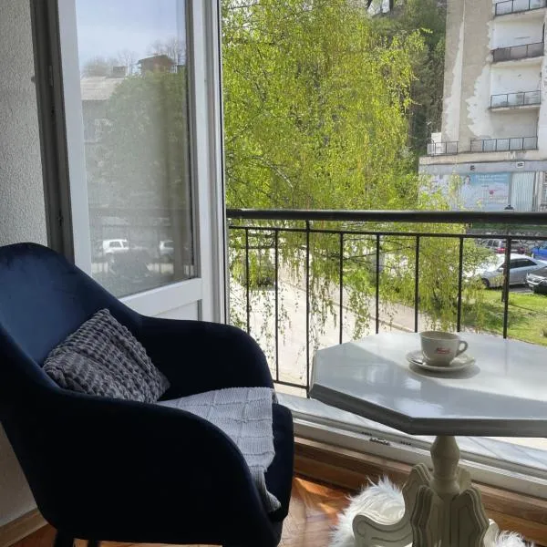Apartman Silver，位于亚伊采的酒店
