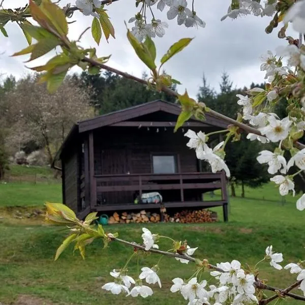 Chata na samotě, Šumava，位于Vrhaveč的酒店