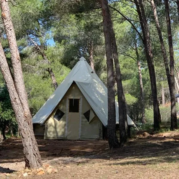 Camping Le Bois De Pins，位于萨勒斯勒沙托的酒店