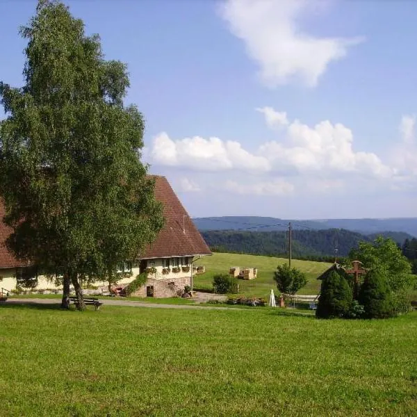 Äckerhof，位于沃尔法赫的酒店